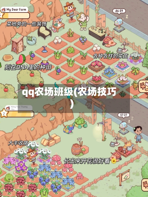 qq农场班级(农场技巧)-第2张图片