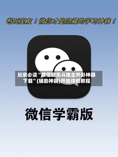 玩家必读“微信微乐斗地主外卦神器下载”(辅助神器)开挂详细教程-第3张图片