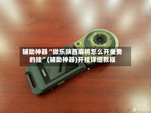 辅助神器“微乐陕西麻将怎么开免费的挂”(辅助神器)开挂详细教程-第3张图片
