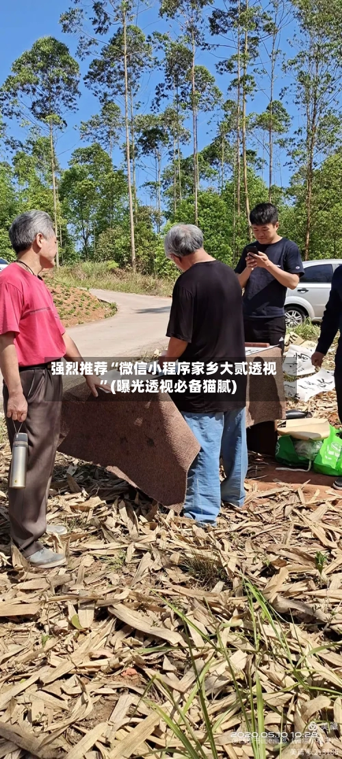 强烈推荐“微信小程序家乡大贰透视”(曝光透视必备猫腻)-第1张图片
