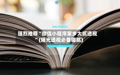 强烈推荐“微信小程序家乡大贰透视”(曝光透视必备猫腻)-第2张图片
