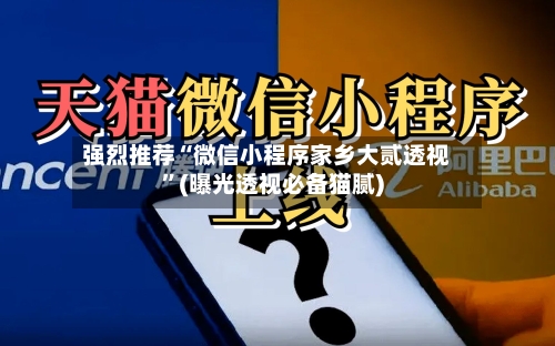 强烈推荐“微信小程序家乡大贰透视	”(曝光透视必备猫腻)-第3张图片
