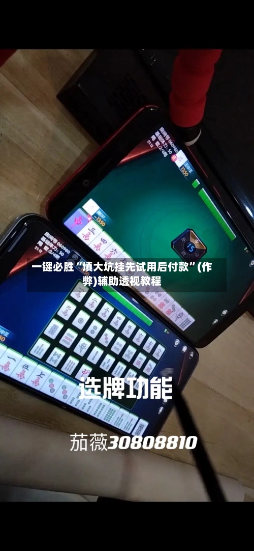 一键必胜“填大坑挂先试用后付款”(作弊)辅助透视教程-第2张图片
