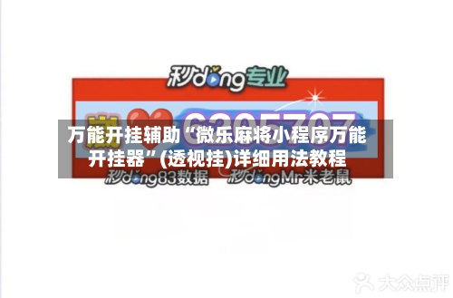 万能开挂辅助“微乐麻将小程序万能开挂器”(透视挂)详细用法教程-第2张图片