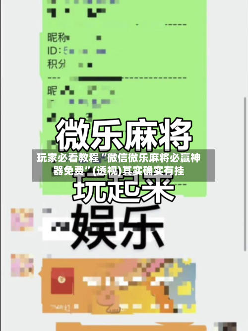 玩家必看教程“微信微乐麻将必赢神器免费”(透视)其实确实有挂-第1张图片