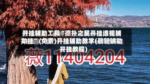 开挂辅助工具“德扑之星开挂透视辅助挂”(免费)开挂辅助教学(最新辅助开挂教程)-第2张图片