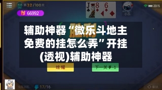 辅助神器“微乐斗地主免费的挂怎么弄”开挂(透视)辅助神器-第1张图片