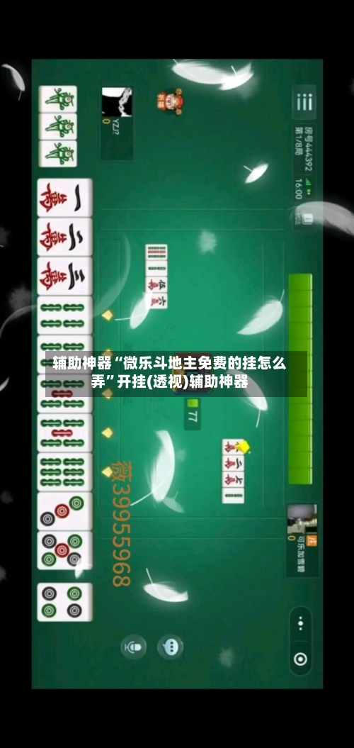 辅助神器“微乐斗地主免费的挂怎么弄	”开挂(透视)辅助神器-第3张图片