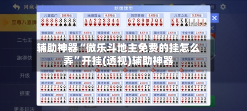 辅助神器“微乐斗地主免费的挂怎么弄”开挂(透视)辅助神器-第2张图片