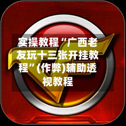 实操教程“广西老友玩十三张开挂教程	”(作弊)辅助透视教程-第2张图片
