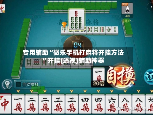 专用辅助“微乐手机打麻将开挂方法”开挂(透视)辅助神器-第3张图片