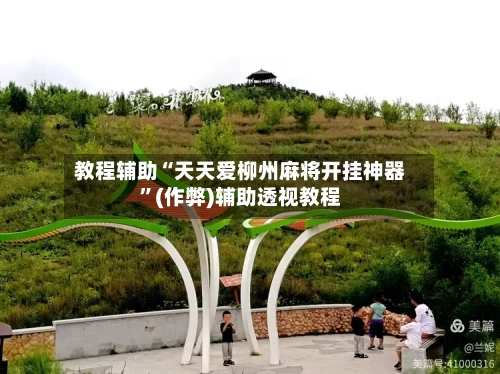 教程辅助“天天爱柳州麻将开挂神器”(作弊)辅助透视教程-第3张图片