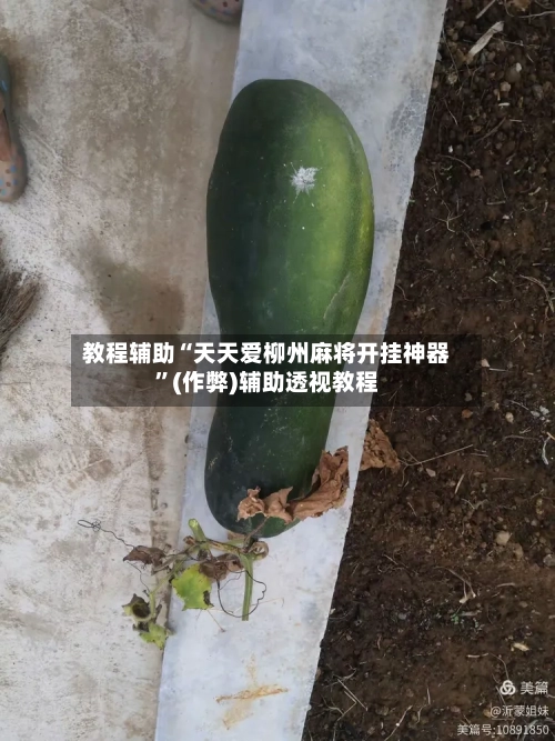 教程辅助“天天爱柳州麻将开挂神器	”(作弊)辅助透视教程-第1张图片