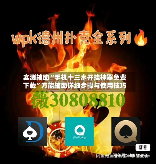 实测辅助“手机十三水开挂神器免费下载	”万能辅助详细步骤与使用技巧-第2张图片