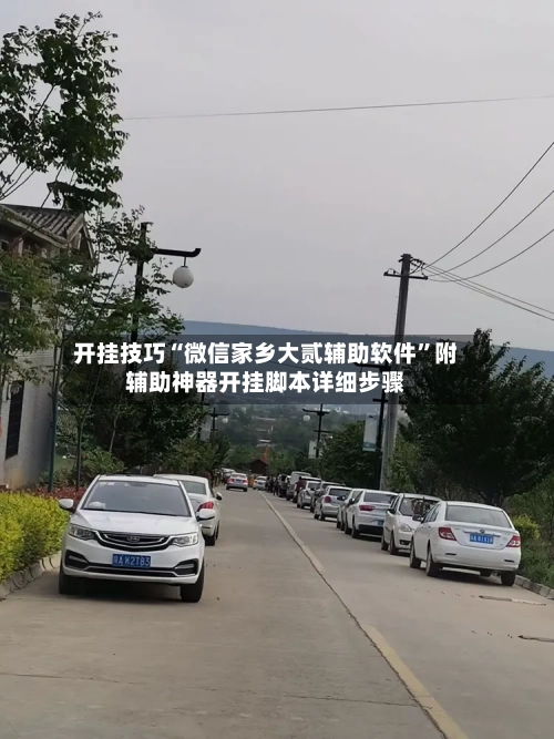 开挂技巧“微信家乡大贰辅助软件”附辅助神器开挂脚本详细步骤-第1张图片