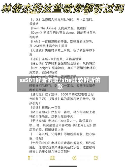 ss501好听的歌/she比较好听的歌-第1张图片