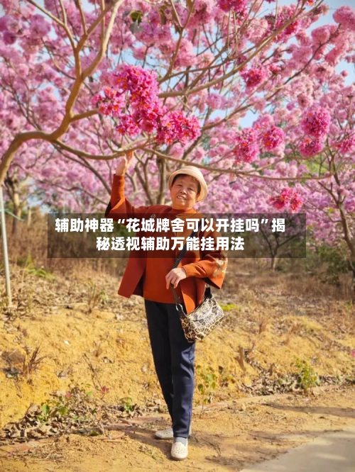 辅助神器“花城牌舍可以开挂吗”揭秘透视辅助万能挂用法-第3张图片