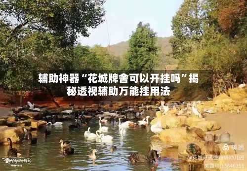 辅助神器“花城牌舍可以开挂吗”揭秘透视辅助万能挂用法-第2张图片