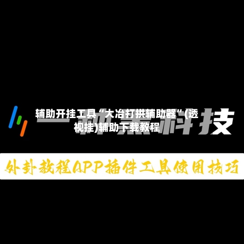 辅助开挂工具“大冶打拱辅助器	”(透视挂)辅助下载教程-第1张图片