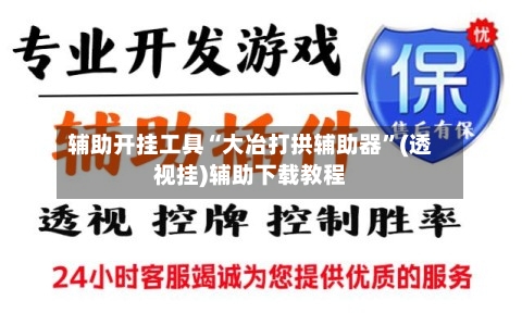 辅助开挂工具“大冶打拱辅助器”(透视挂)辅助下载教程-第2张图片