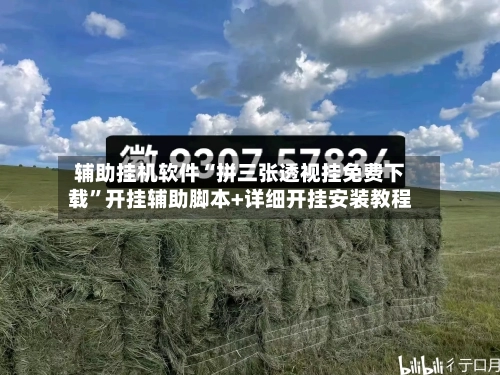 辅助挂机软件“拼三张透视挂免费下载	”开挂辅助脚本+详细开挂安装教程-第1张图片
