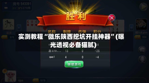 实测教程“微乐陕西挖坑开挂神器	”(曝光透视必备猫腻)-第2张图片