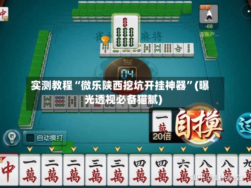 实测教程“微乐陕西挖坑开挂神器”(曝光透视必备猫腻)-第1张图片
