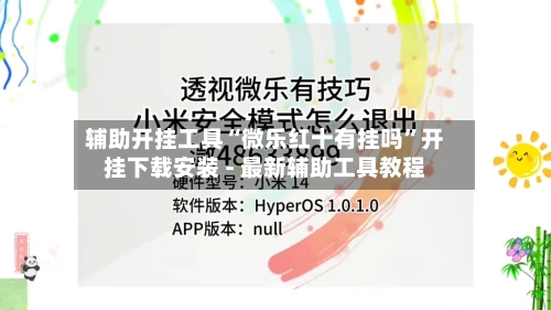 辅助开挂工具“微乐红十有挂吗”开挂下载安装 - 最新辅助工具教程-第2张图片
