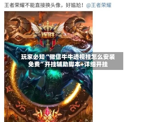 玩家必知“微信牛牛透视挂怎么安装免费”开挂辅助脚本+详细开挂-第1张图片