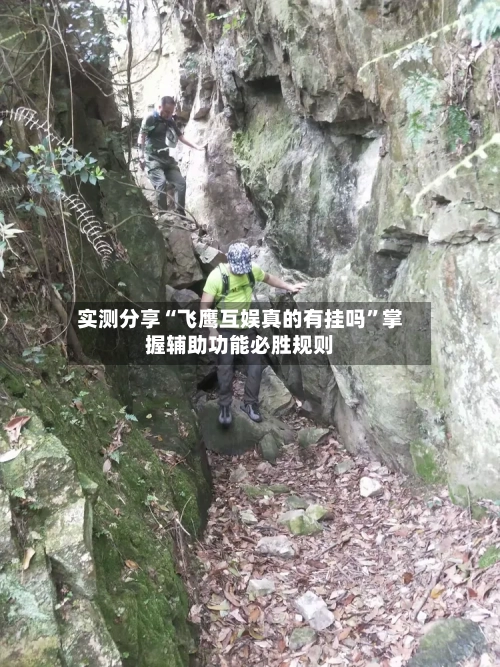 实测分享“飞鹰互娱真的有挂吗	”掌握辅助功能必胜规则-第2张图片