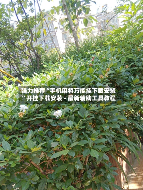 强力推荐“手机麻将万能挂下载安装	”开挂下载安装 - 最新辅助工具教程-第2张图片