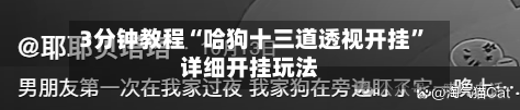 3分钟教程“哈狗十三道透视开挂	”详细开挂玩法-第2张图片