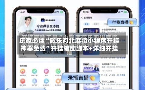 玩家必读“微乐河北麻将小程序开挂神器免费	”开挂辅助脚本+详细开挂-第1张图片