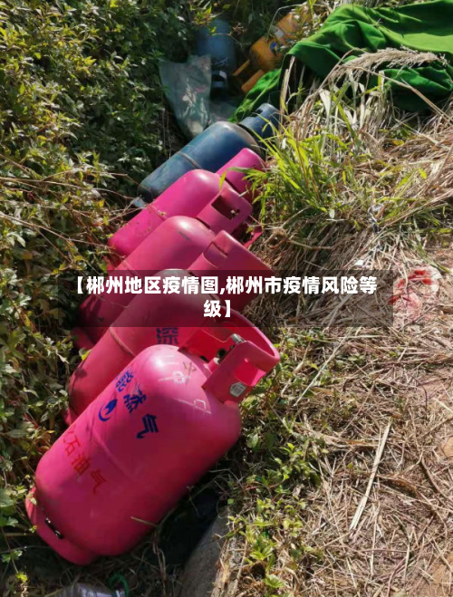 【郴州地区疫情图,郴州市疫情风险等级】-第2张图片