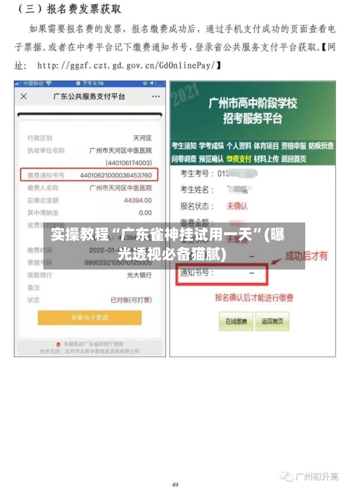 实操教程“广东雀神挂试用一天	”(曝光透视必备猫腻)-第3张图片