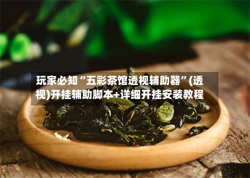 玩家必知“五彩茶馆透视辅助器	”(透视)开挂辅助脚本+详细开挂安装教程-第2张图片