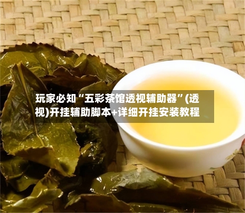 玩家必知“五彩茶馆透视辅助器”(透视)开挂辅助脚本+详细开挂安装教程-第1张图片