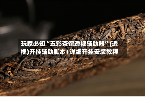玩家必知“五彩茶馆透视辅助器”(透视)开挂辅助脚本+详细开挂安装教程-第3张图片
