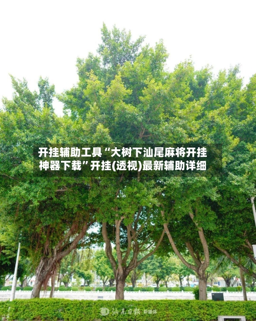 开挂辅助工具“大树下汕尾麻将开挂神器下载”开挂(透视)最新辅助详细-第1张图片