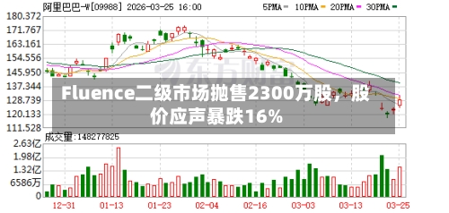 Fluence二级市场抛售2300万股，股价应声暴跌16%-第1张图片