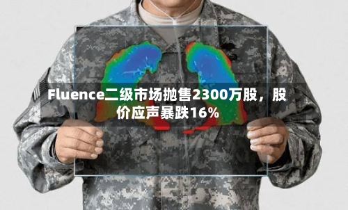 Fluence二级市场抛售2300万股，股价应声暴跌16%-第3张图片