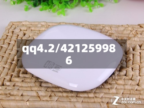 qq4.2/421259986-第1张图片