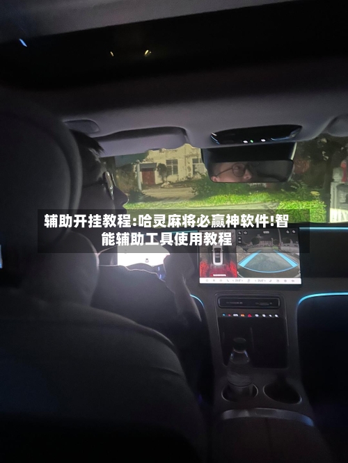 辅助开挂教程:哈灵麻将必赢神软件!智能辅助工具使用教程-第1张图片