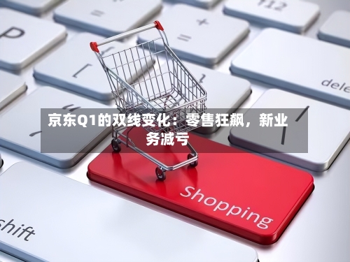 京东Q1的双线变化：零售狂飙	，新业务减亏-第2张图片