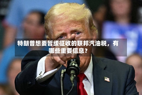 特朗普想要暂缓征收的联邦汽油税，有哪些重要信息？-第3张图片
