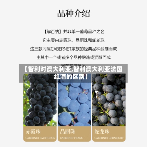 【智利对澳大利亚,智利澳大利亚法国红酒的区别】-第1张图片