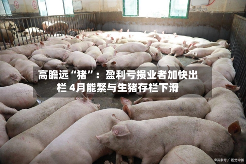 高瞻远“猪	”：盈利亏损业者加快出栏 4月能繁与生猪存栏下滑-第2张图片