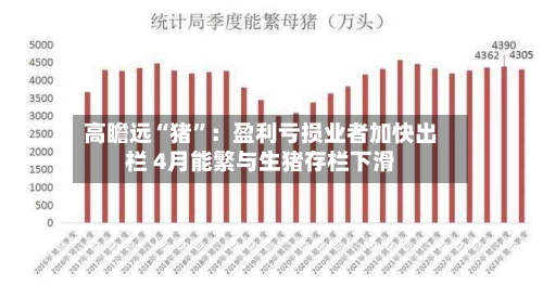 高瞻远“猪”：盈利亏损业者加快出栏 4月能繁与生猪存栏下滑-第1张图片