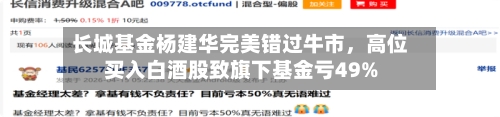 长城基金杨建华完美错过牛市	，高位买入白酒股致旗下基金亏49%-第1张图片