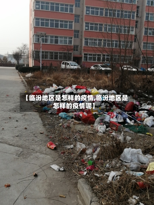【临汾地区是怎样的疫情,临汾地区是怎样的疫情呢】-第1张图片